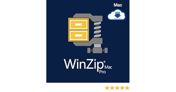 WinZip Pro download